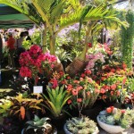 Gardenfest