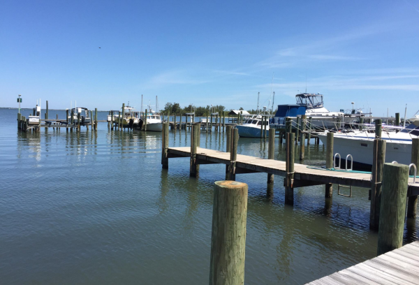 Capt'n Butcher's Seafood Grill & Bar
