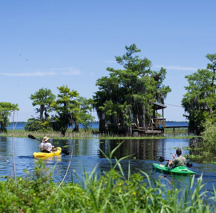 Blue Cypress Lake - Photo: Tammy Lee Bradley