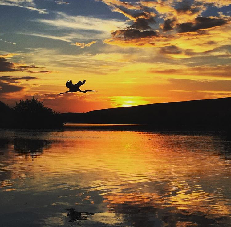 St. Sebastian River Preserve State Park - Photo: @sgicharters