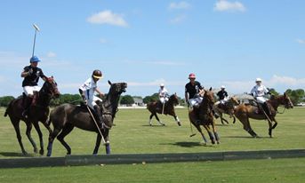 us polo online bg