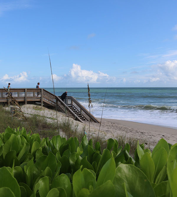 Wabasso Beach