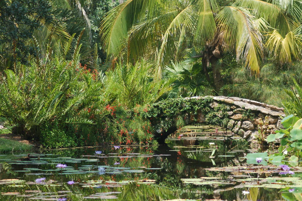 Beach Holiday and More: Top 10 Things to Do During the summer in the Vero Beach area