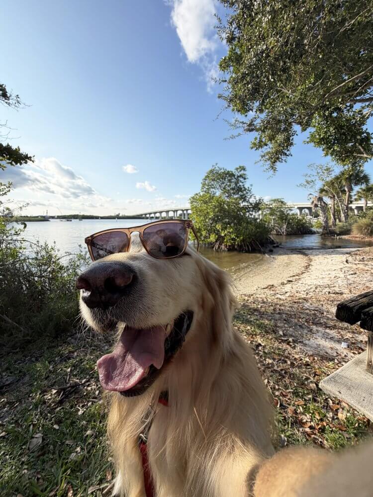 Mobile Featured Image