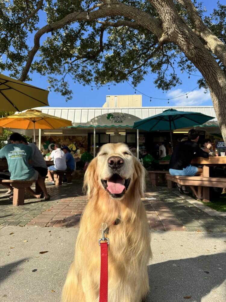 Mobile Featured Image