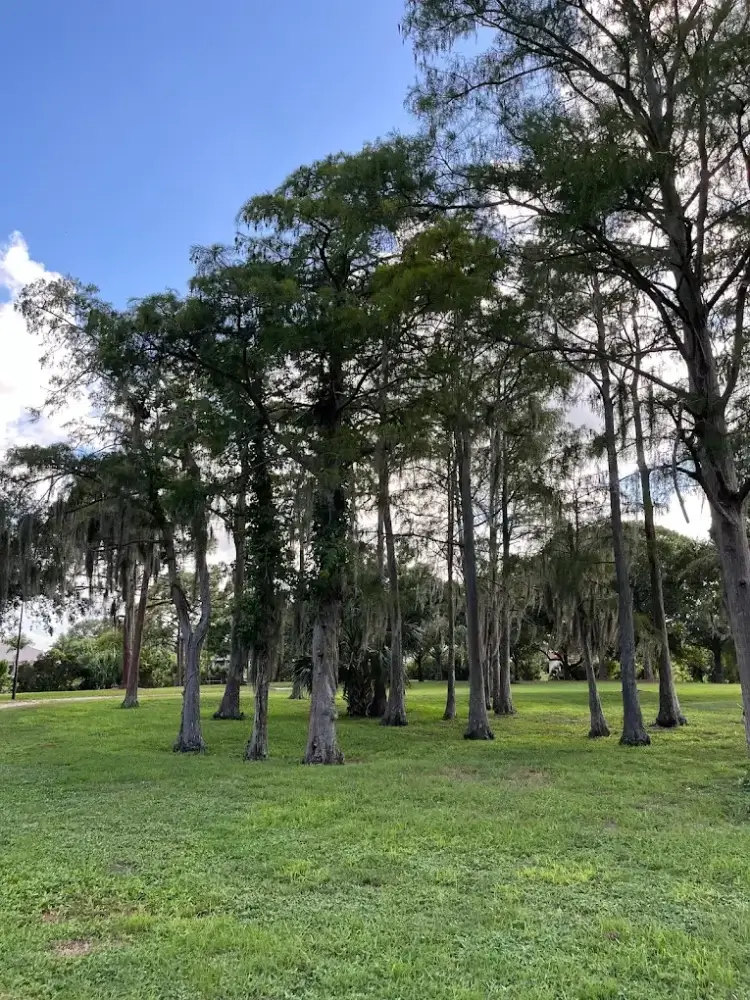 Mobile Featured Image