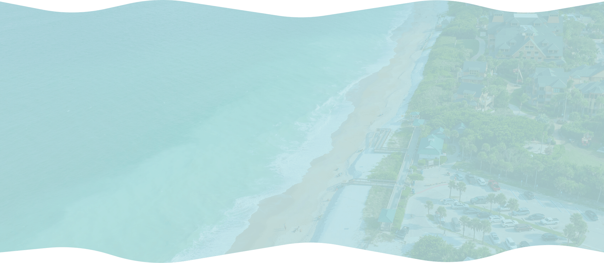 Merch banner Background