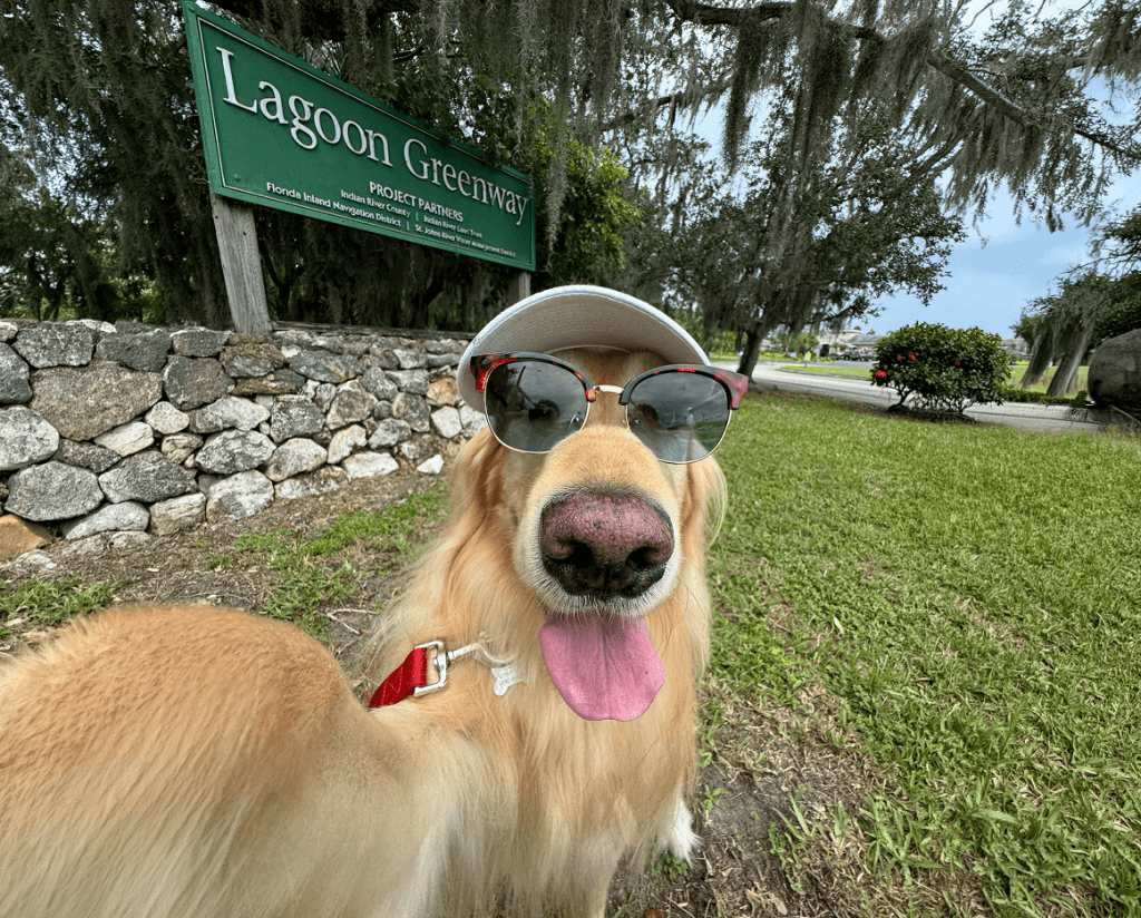 Check out our Places for Paws Pass