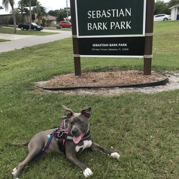 Mobile Featured Image