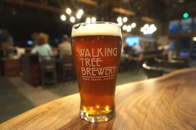 Walking Tree Brewery Image
