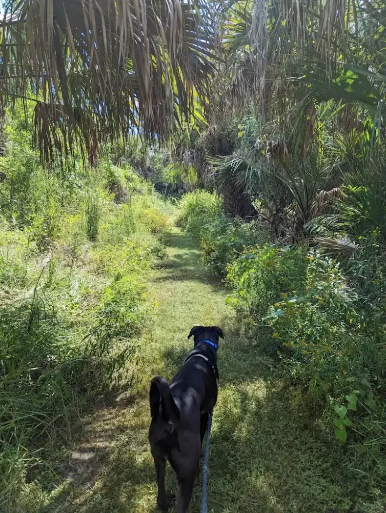 Mobile Featured Image