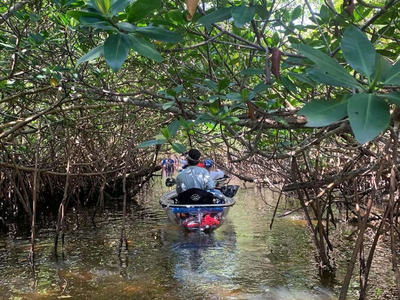 Mobile Featured Image