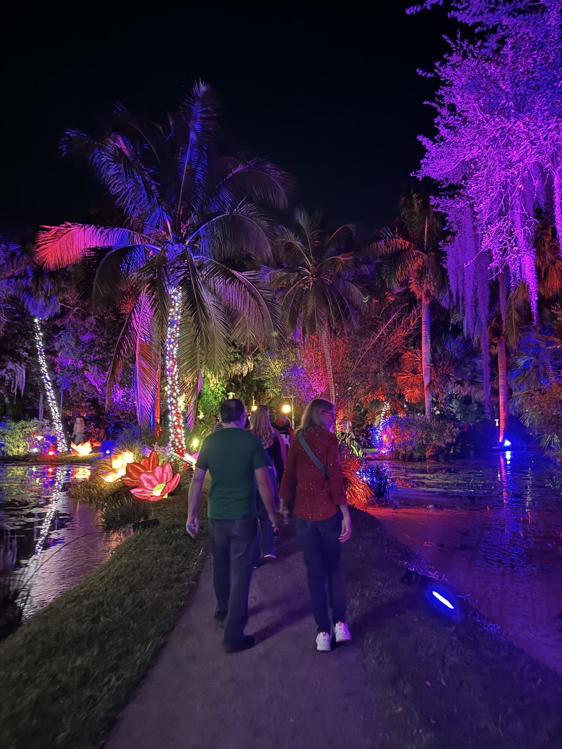 Palm trees decorated with Christmas lights at the McKee Jungle Lights