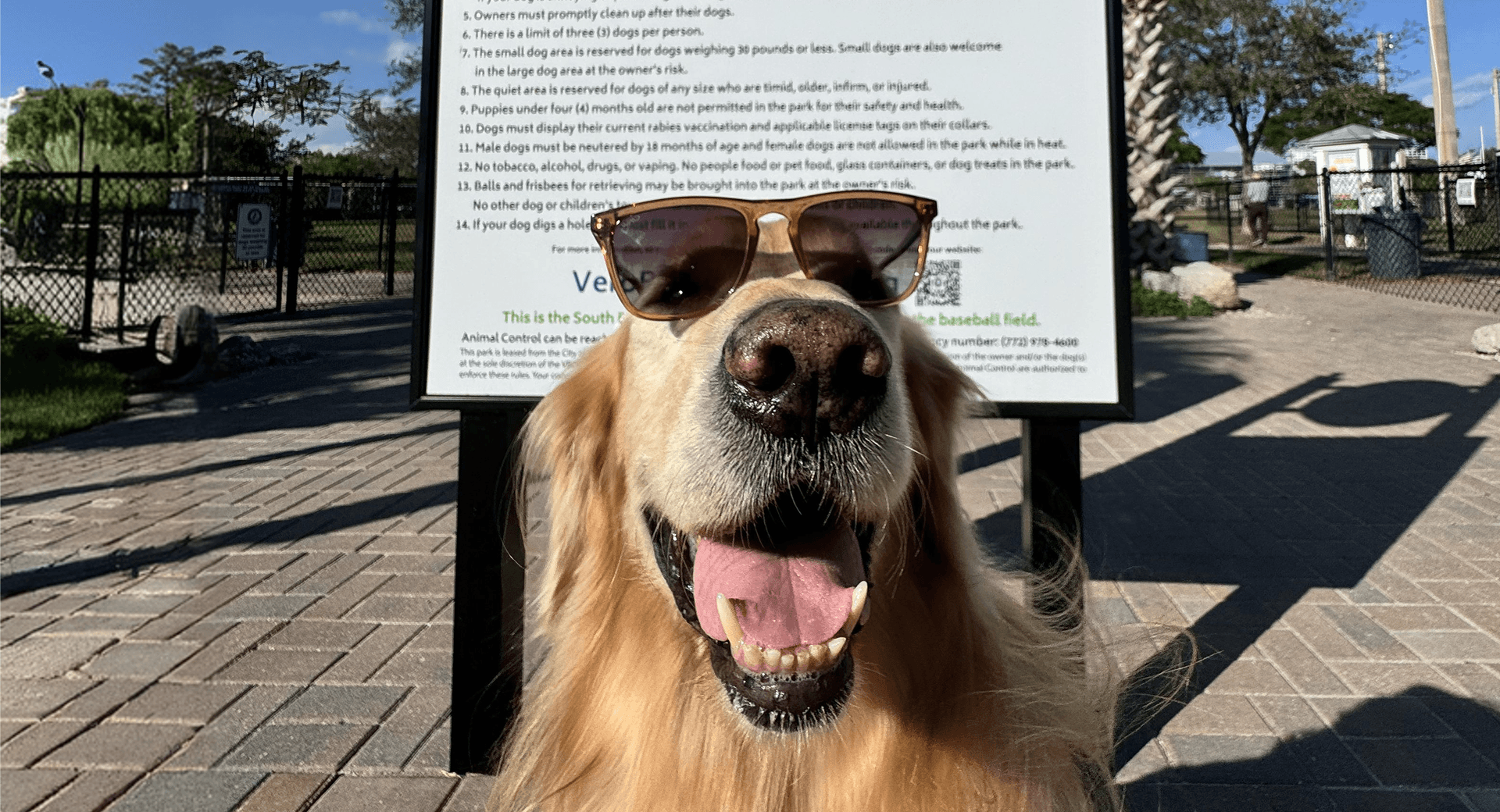 pet parks