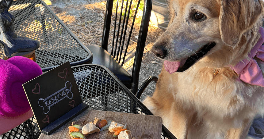 pet friendly dining