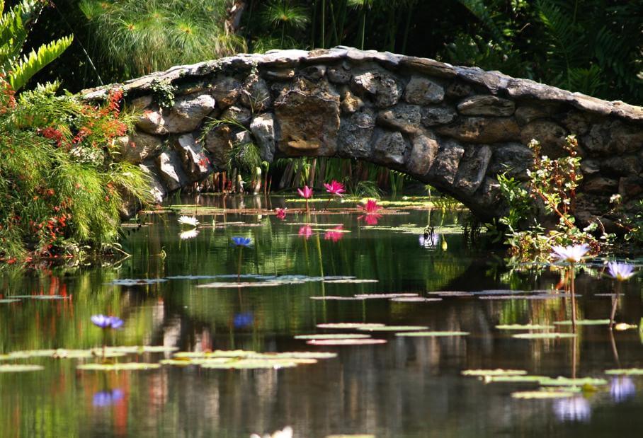 McKee Botanical Garden has long been a favorite of locals and tourists.