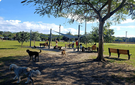 Vero Beach Dog Park